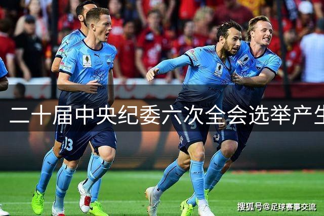二十届中央纪委六次全会选举产生两位新任副书记